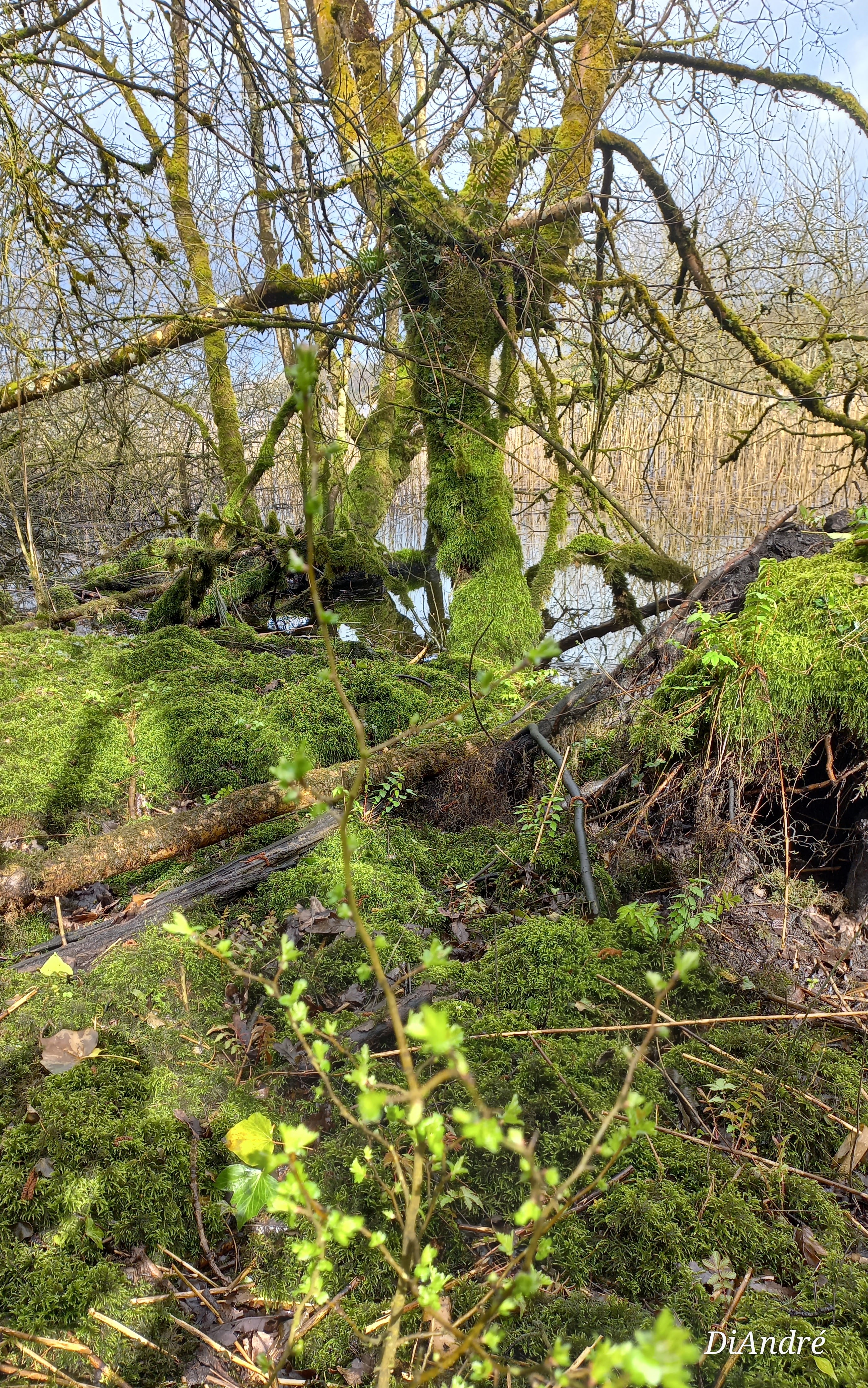 River landscape in the Nanny-Delvin catchment